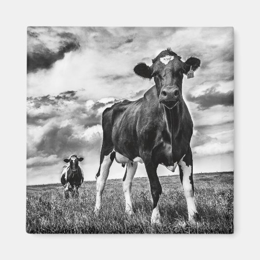 Wachten op uiteinde uiteinde magneet (Voorkant)