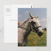 Wachten op uitvoering - Gepersonaliseerd Briefkaart (Voorkant / Achterkant)