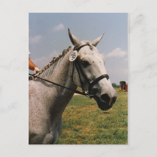 Wachten op uitvoering - Gepersonaliseerd Briefkaart (Voorkant)