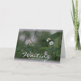 Wachten op wilde aardbeien CC0479-Wenskaart Kaart