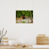 Wachten Poster (Keuken)