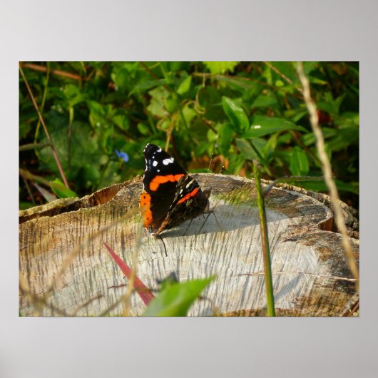 Wachten Poster (Voorkant)