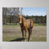 Wachten Poster (Voorkant)