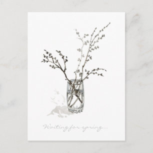 Wachten tot de Lente – Monochrome Ontluikende Takk Briefkaart