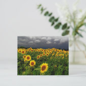 Wachten, Zonnebloem, stormen wolken Briefkaart (Staand voorkant)