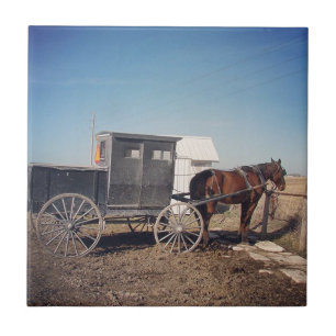 Wachtende Amishse paard en buggy Tegeltje