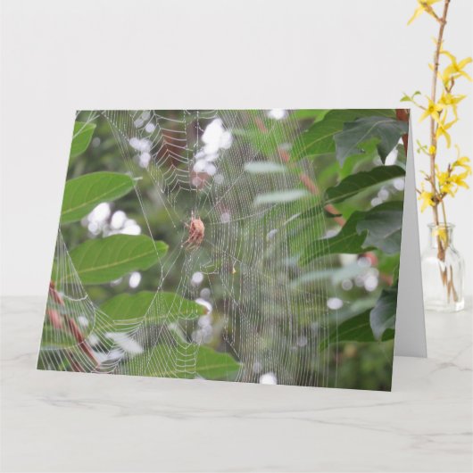 Wachtende spin kaart (Gele Bloem)