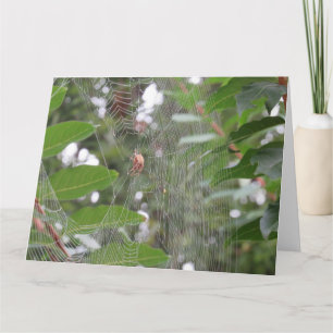 Wachtende spin kaart