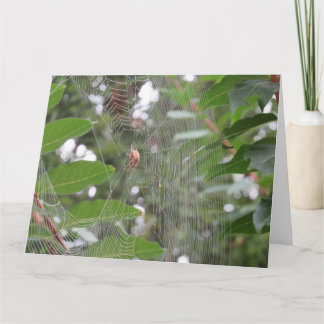 Wachtende spin kaart