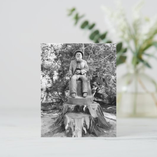 Wachter van het Woud Papiervel (Staand voorkant)