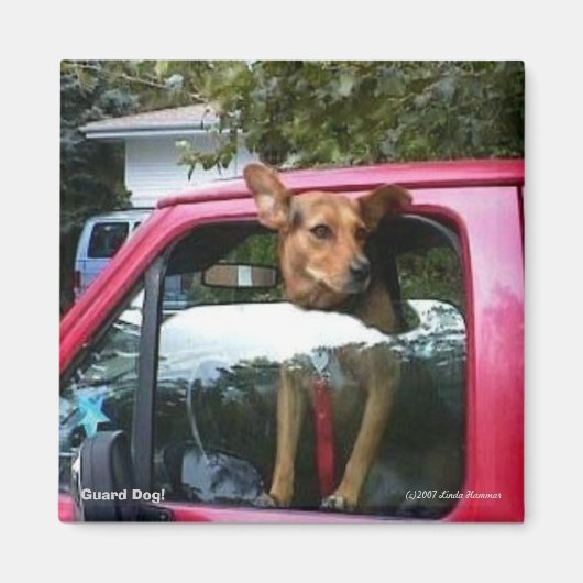 Wachthond! Magneet (Voorkant)