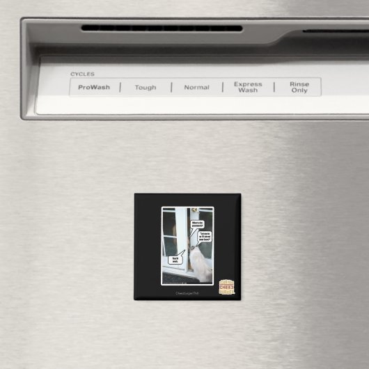 Wachtwoord alstublieft magneet (Insitu (Vaatwasser))