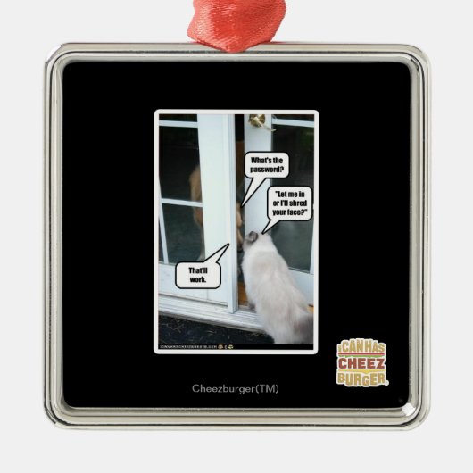 Wachtwoord Metalen Ornament (Voorkant)