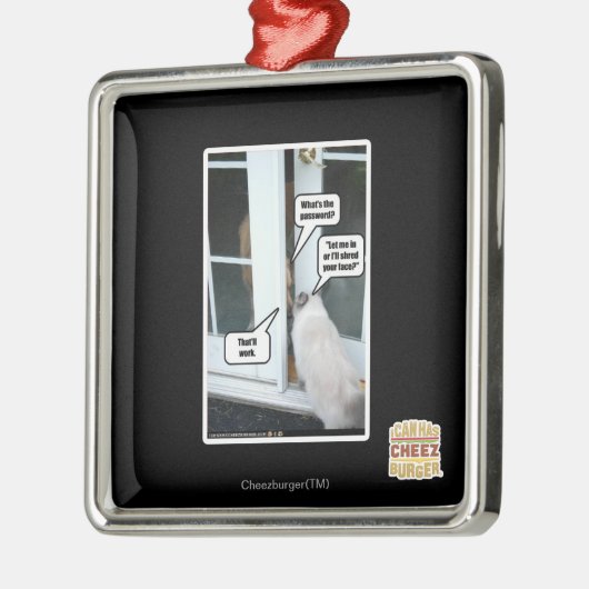 Wachtwoord Metalen Ornament (Links)