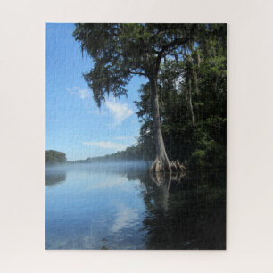 Wacissa River Cypress Florida Legpuzzel