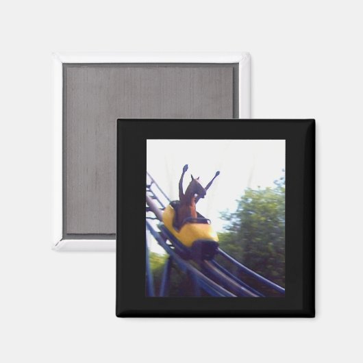 Wacky Horse Riding Roller Coaster Meme Internet Fu Magneet (Voorkant / Achterkant)