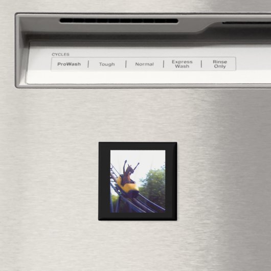 Wacky Horse Riding Roller Coaster Meme Internet Fu Magneet (Insitu (Vaatwasser))