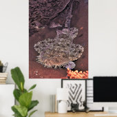 Wacky Weird Wobbegong Poster (Thuiskantoor)