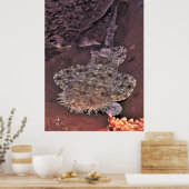 Wacky Weird Wobbegong Poster (Keuken)