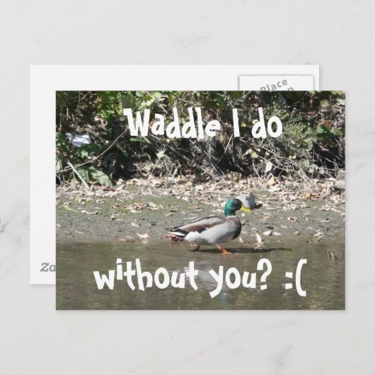 Waddle dat ik doe, zonder jou? :( briefkaart (Voorkant / Achterkant)