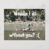 Waddle dat ik doe, zonder jou? :( briefkaart (Voorkant)