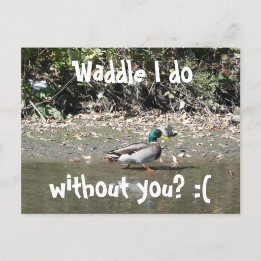 Waddle dat ik doe, zonder jou? :( briefkaart (Voorkant)