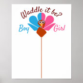 Waddle Het is gender die stemmen openbaar maakt Poster (Voorkant)