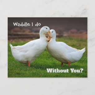 Waddle I do Funny Ducks Briefkaart
