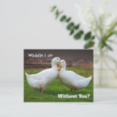 Waddle I do Funny Ducks Briefkaart (Staand voorkant)