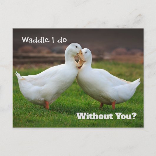 Waddle I do Funny Ducks Briefkaart (Voorkant)