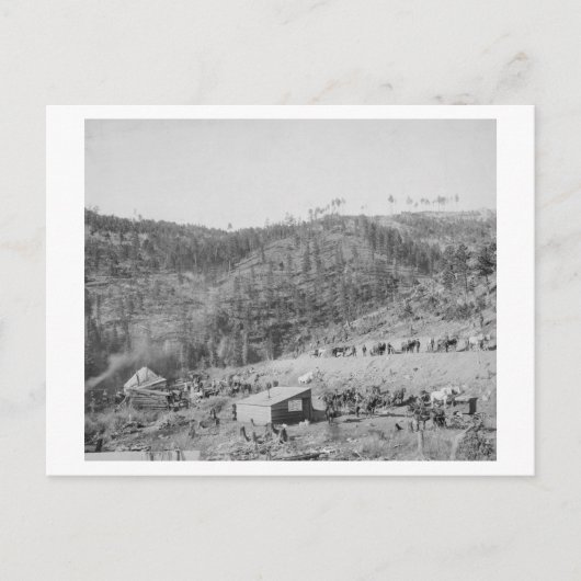 Wade and Jones Railroad Camp in Whitewood Canyon Briefkaart (Voorkant)