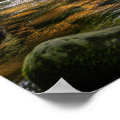 Waden in de Creek Poster (Hoek)