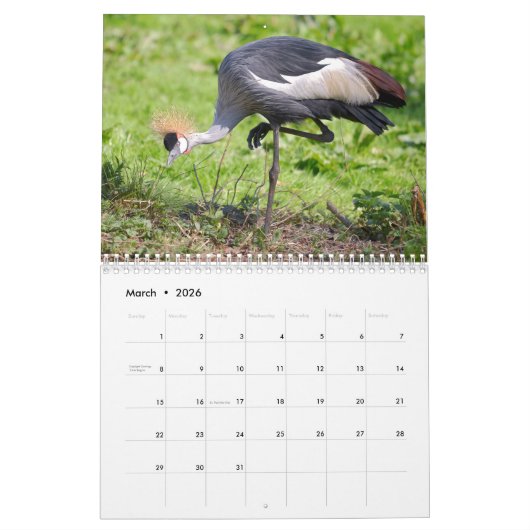 Waders Kalender 2025 (Mar 2026)