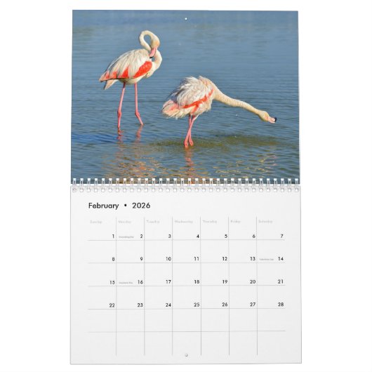 Waders Kalender 2025 (Feb 2026)