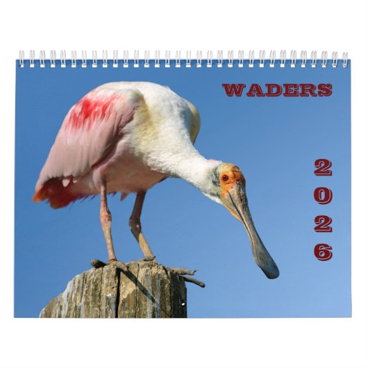 Waders Kalender 2025 (Hoes)