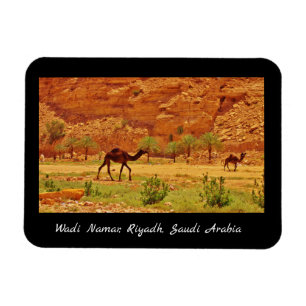 Wadi Namar, Riyadh, Saudi-Arabië Magneet
