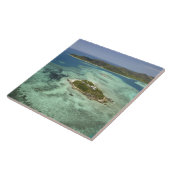 Wadigi Island, Mamanuca Islands, Fiji Tegeltje (Zijkant)