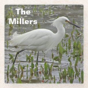 Wading Bird Foto naam White Egret Glazen Onderzetter
