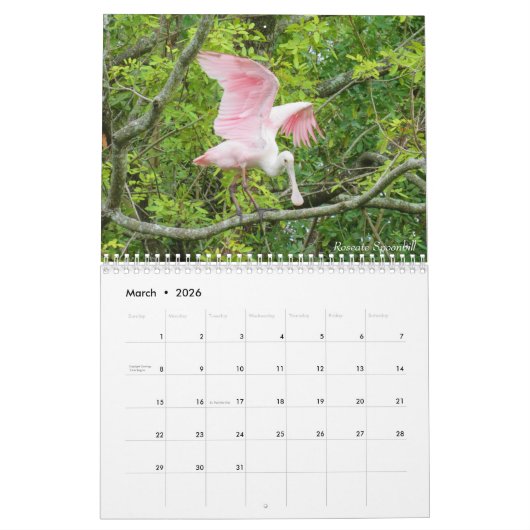 Wading Birds Calendar Kalender (Mar 2026)