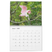 Wading Birds Calendar Kalender (Mar 2027)