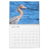 Wading Birds Calendar Kalender (Jan 2027)