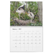 Wading Birds Calendar Kalender (Feb 2027)