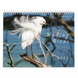 Wading Birds of the USA - Originele foto Kalender