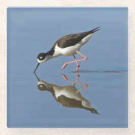 Wadvogel Met Waterreflectie Natuurfoto Glazen Onderzetter