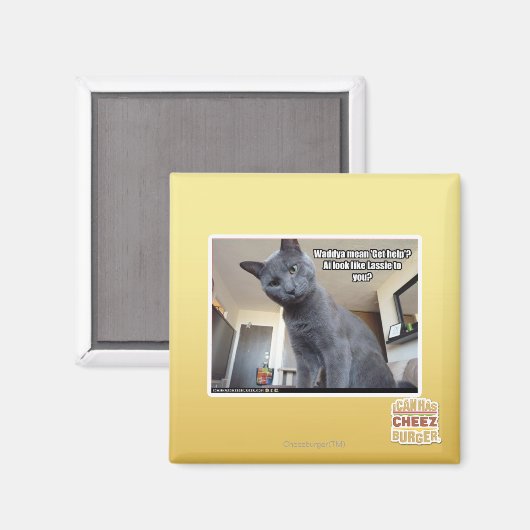 Wadya betekent 'Hulp krijgen'? Magneet (Voorkant / Achterkant)