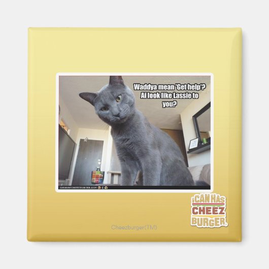 Wadya betekent 'Hulp krijgen'? Magneet (Voorkant)