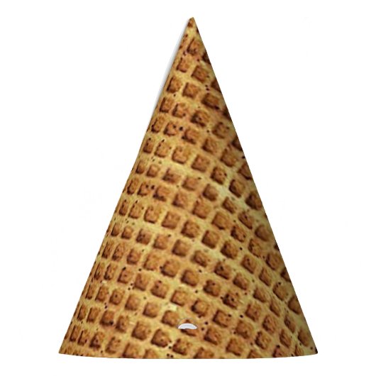 Waffle Cone Party Pet Feesthoedjes (Links)