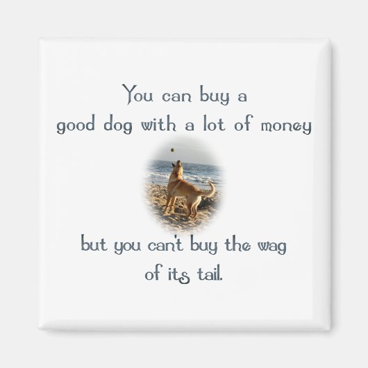 Wag van de staart magneet (Voorkant)