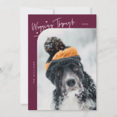 Wagging Door Winter Hond Cranberry Kerstmis Feestdagenkaart (Voorkant)