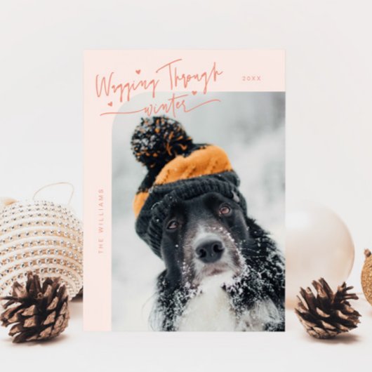 Wagging Door Winter Hond Foto Perzik Kerstmis Feestdagenkaart